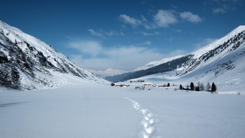 Winterwandern in Davos